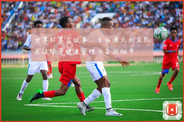 世界杯幕后故事：专访澳大利亚队医谈球员健康管理与备战细节
