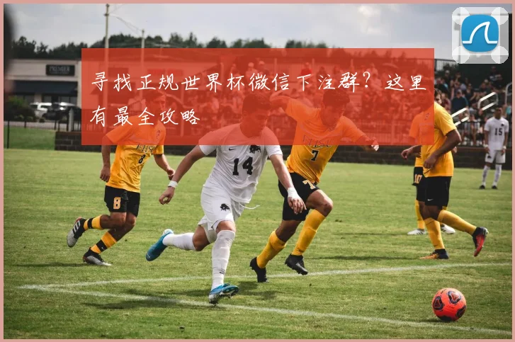 寻找正规世界杯微信下注群？这里有最全攻略