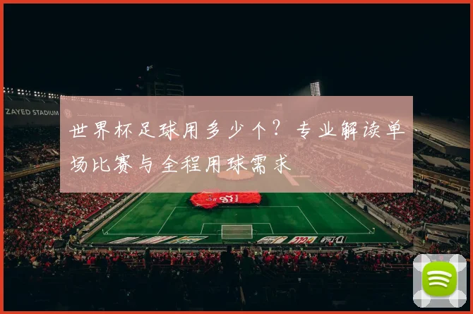 世界杯足球用多少个？专业解读单场比赛与全程用球需求