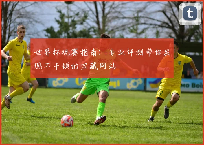 世界杯观赛指南：专业评测带你发现不卡顿的宝藏网站