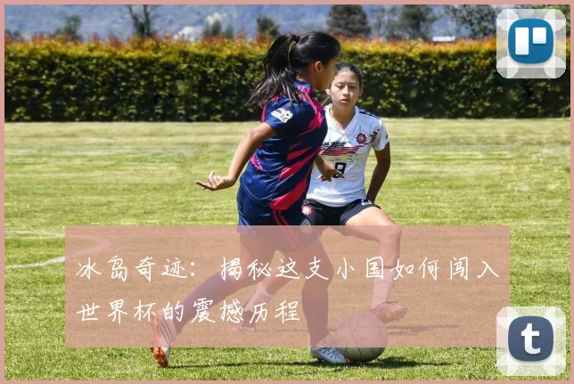 冰岛奇迹：揭秘这支小国如何闯入世界杯的震撼历程