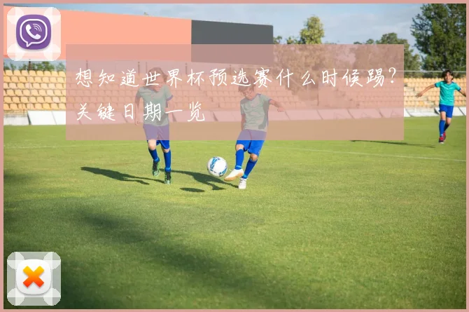 想知道世界杯预选赛什么时候踢？关键日期一览