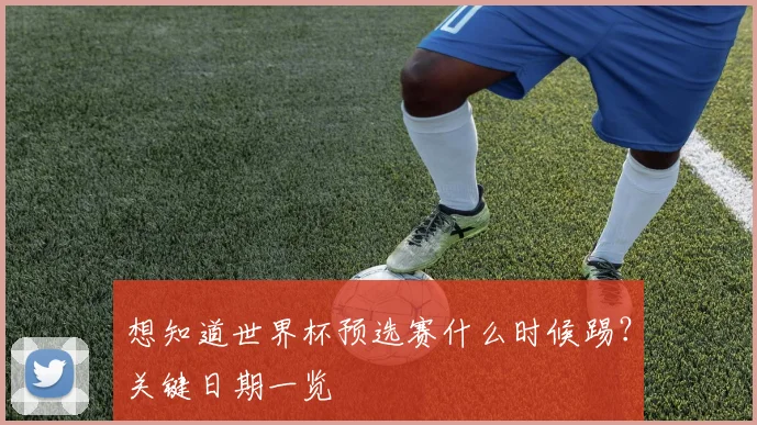 想知道世界杯预选赛什么时候踢?关键日期一览