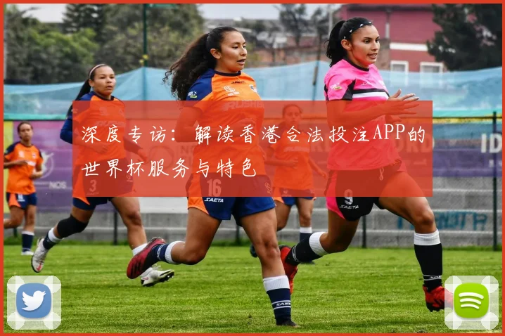 深度专访:解读香港合法投注APP的世界杯服务与特色