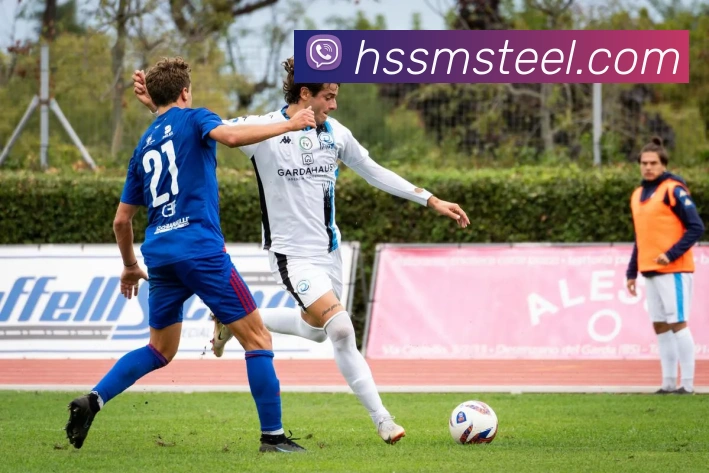 开云手机网页入口APP 封面图